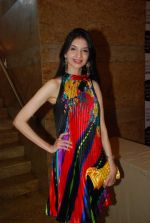 at Day 5 of lakme fashion week 2012 in Grand Hyatt, Mumbai on 6th March 2012 (275).JPG